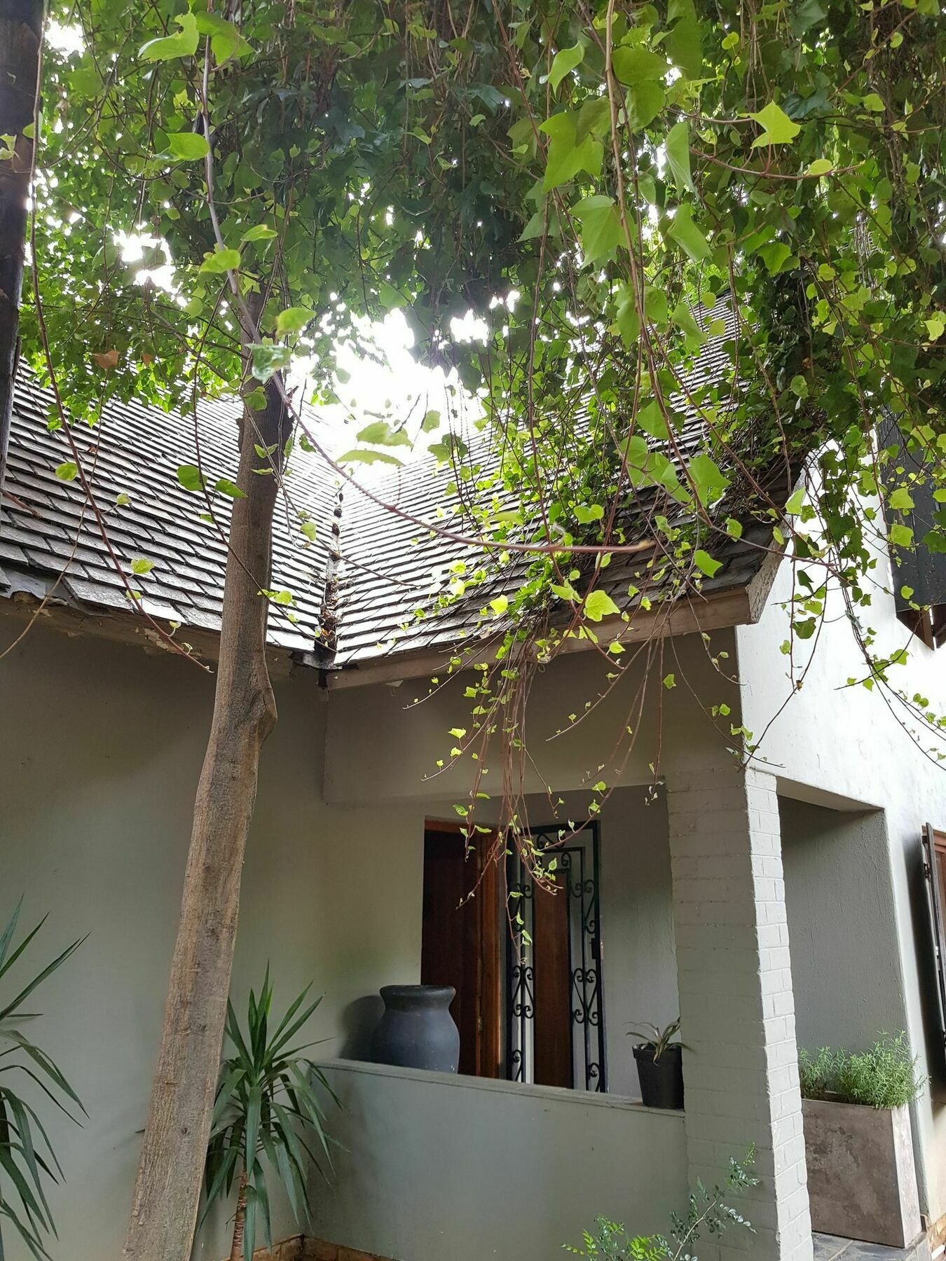 Hotel 440@Brooklyn Pretoria-Noord Exterior foto